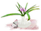 fiore - PNG gratuit GIF animé