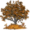 jesienne drzewo - ilmainen png animoitu GIF