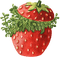 fraises, printemps, vert, strawberries, green, - PNG gratuit GIF animé
