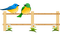 Kaz_Creations Birds On Garden Fence - PNG gratuit GIF animé