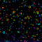 Rena animated multicolor Hintergrund Herzen - Bezmaksas animēts GIF animēts GIF