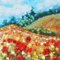 Poppy Field - Free animated GIF Animated GIF