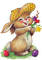 Hase, Ostern, Blumen - Free PNG Animated GIF