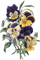 Flower - ilmainen png animoitu GIF