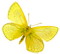 Butterfly.Yellow - png grátis Gif Animado