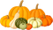 pumpkin Bb2 - бесплатно png анимированный гифка