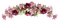 barre roses - bezmaksas png animēts GIF