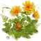 blommor--orange--flowers - PNG gratuit GIF animé