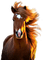dulcineia8 cavalos - PNG gratuit GIF animé