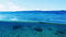 ocean bp - Gratis geanimeerde GIF geanimeerde GIF