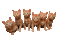 Kaz_Creations Animated Cats Kittens - GIF animado gratis GIF animado