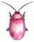 pink bug - zadarmo png animovaný GIF