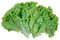 Kaz_Creations Vegetables - nemokama png animuotas GIF