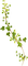 pink-green-leaf-blad-minou52 - png gratis GIF animado