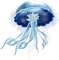 blue jellyfish Bb2 - Free PNG Animated GIF
