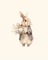 Easter Bunny - безплатен png анимиран GIF