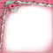 soave frame vintage lace flowers pink green - zadarmo png animovaný GIF