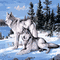 wolf milla1959 - Free animated GIF Animated GIF