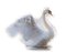 cisne - gratis png animerad GIF