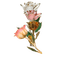 Rose Buds Glass - 免费PNG 动画 GIF