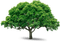 trees bp - kostenlos png Animiertes GIF