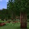 Realistic Minecraft Forest - ingyenes png animált GIF