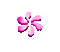 Pink spinning flower
