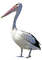 birds anastasia - png gratis GIF animasi