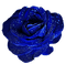 Flowers blue bp - nemokama png animuotas GIF