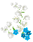 valley flowers by nataliplus - GIF เคลื่อนไหวฟรี GIF แบบเคลื่อนไหว