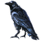 Steampunk Raven - бесплатно png анимированный гифка