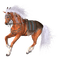 horse, fantasy,  pumpkins, Adam64 - PNG gratuit GIF animé