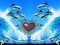 dauphins - png gratuito GIF animata