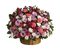 flower fleur blossom blumen basket - PNG gratuit GIF animé