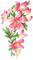 soave deco spring branch flowers vintage pink - gratis png animerad GIF