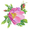 aquarelle, été, fleur, Orabel - безплатен png анимиран GIF