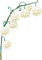 lily of the valley Bb2 - δωρεάν png κινούμενο GIF