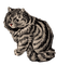 louis wain cat winky - png gratuito GIF animata