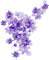 Flowers.Purple - gratis png animeret GIF