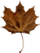 Brown Leaf-RM - gratis png geanimeerde GIF