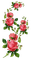 roses vine - фрее пнг анимирани ГИФ