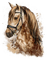 cheval.Cheyenne63 - 免费PNG 动画 GIF