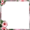 frame cadre flowers - png ฟรี GIF แบบเคลื่อนไหว