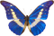 Kaz_Creations Butterfly - PNG gratuit GIF animé