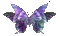 farfalla - Nemokamas animacinis gif animuotas GIF