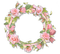 Flowers frame 🏵asuna.yuuki🏵 - PNG gratuit GIF animé