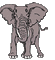 éléphant 1 - GIF animado grátis Gif Animado