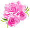 Fleurs.Roses.Pink.Bouquet.Victoriabea - Free animated GIF Animated GIF