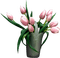 tulipe.Cheyenne63 - zdarma png animovaný GIF