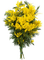 mimosas fleur mimosa flowers - darmowe png animowany gif